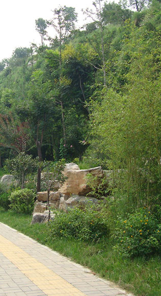 高陡巖質(zhì)邊坡生態(tài)防護與修復